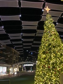 CWGabOLpQtqogTfeU5ILyQ