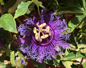 57755740191__3da0d7e1-4a5b-424a-aabf-e2edf14fb60f